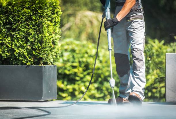 Best Driveway Pressure Washing  in Clarendon Hls, IL