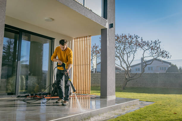 Best Pre-Holiday Cleaning  in Clarendon Hls, IL